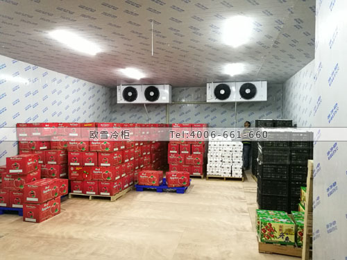 廣東省深圳市寶安區(qū)維芳果業(yè)有限公司